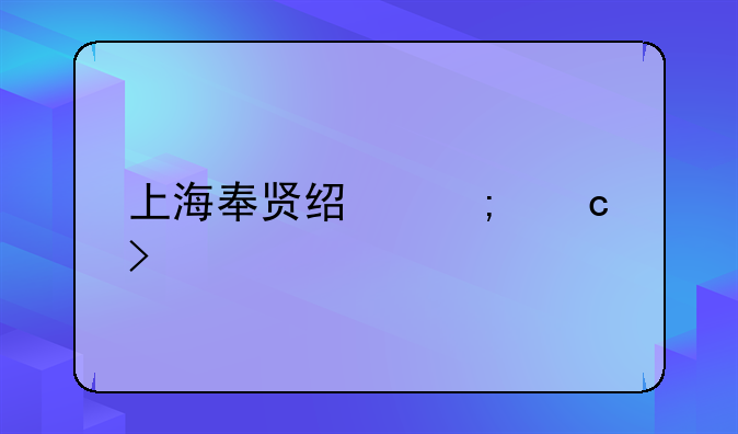 上海奉贤经济官司
