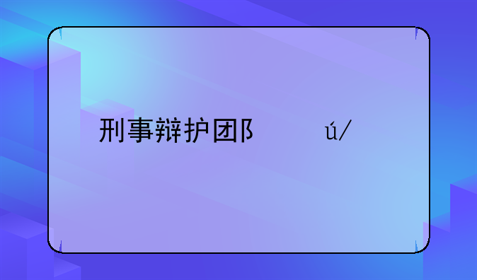 刑事辩护团队律师
