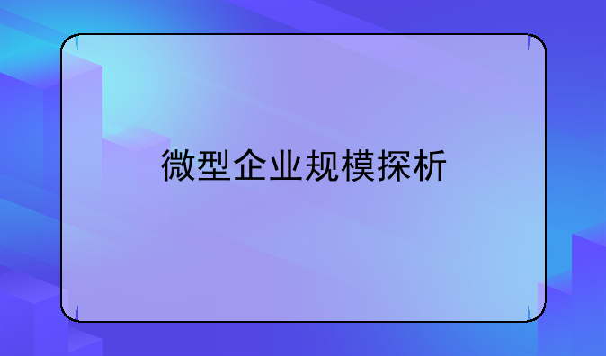 微型企业规模探析