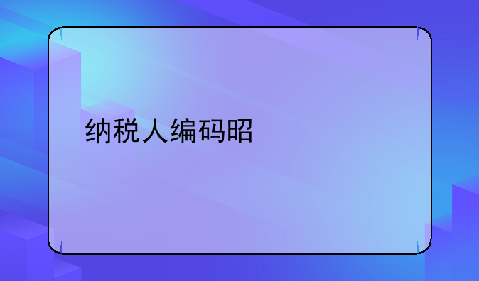 纳税人编码是什么