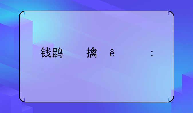 钱鹏鹤个人简历