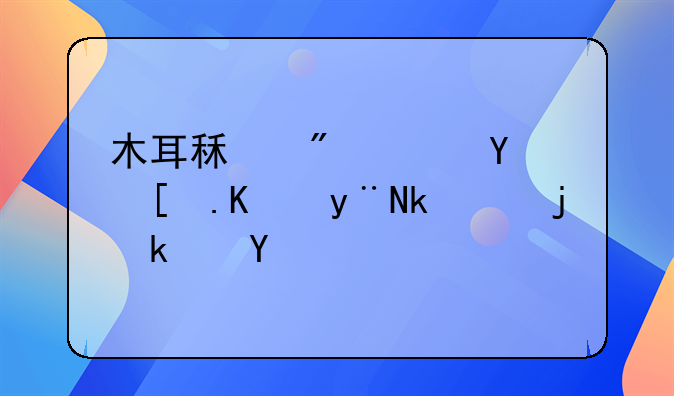 木耳租房：城市中的温馨港湾