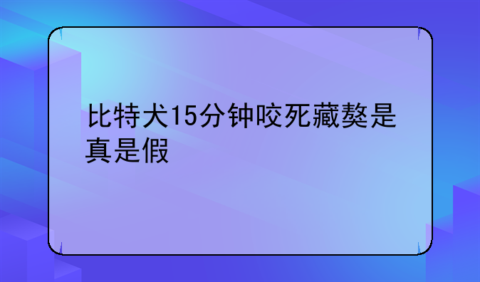 比特犬15分钟咬死藏獒是真是假