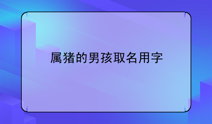 属猪的男孩取名用字