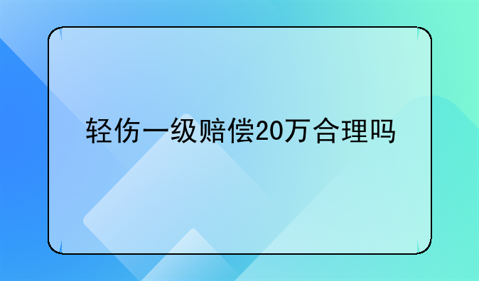 轻伤一级赔偿20万合理吗
