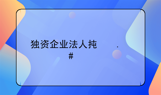 独资企业法人承担什么责任
