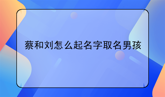 蔡和刘怎么起名字取名男孩