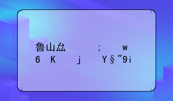 鲁山县低保每人每月多少钱