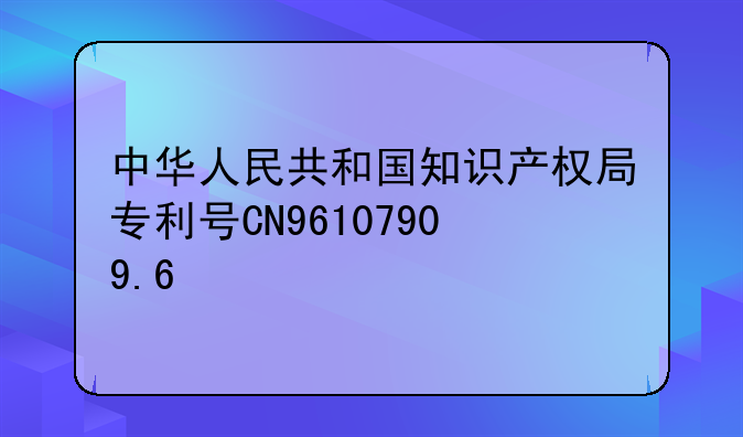 中华人民共和国知识产权局专利号CN96107909.6