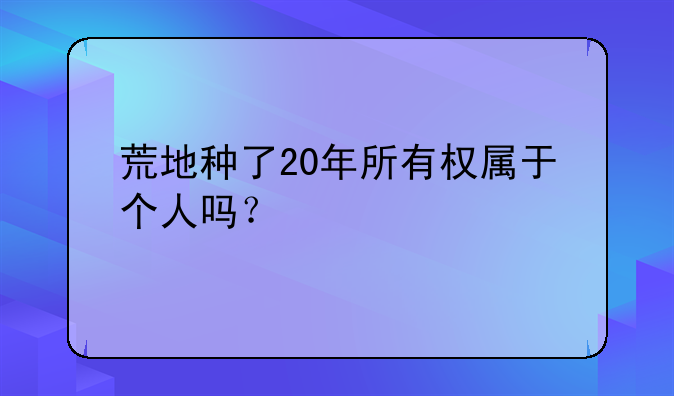 荒地种了20年所有权属于个人吗？