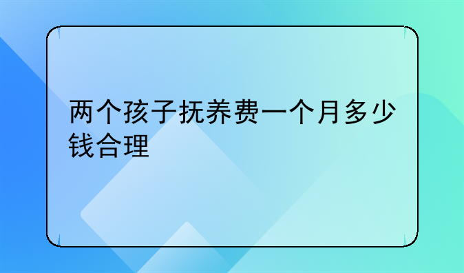 两个孩子抚养费一个月多少钱合理