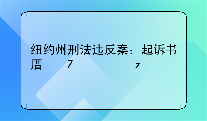 纽约州刑法违反案：起诉书原文解析